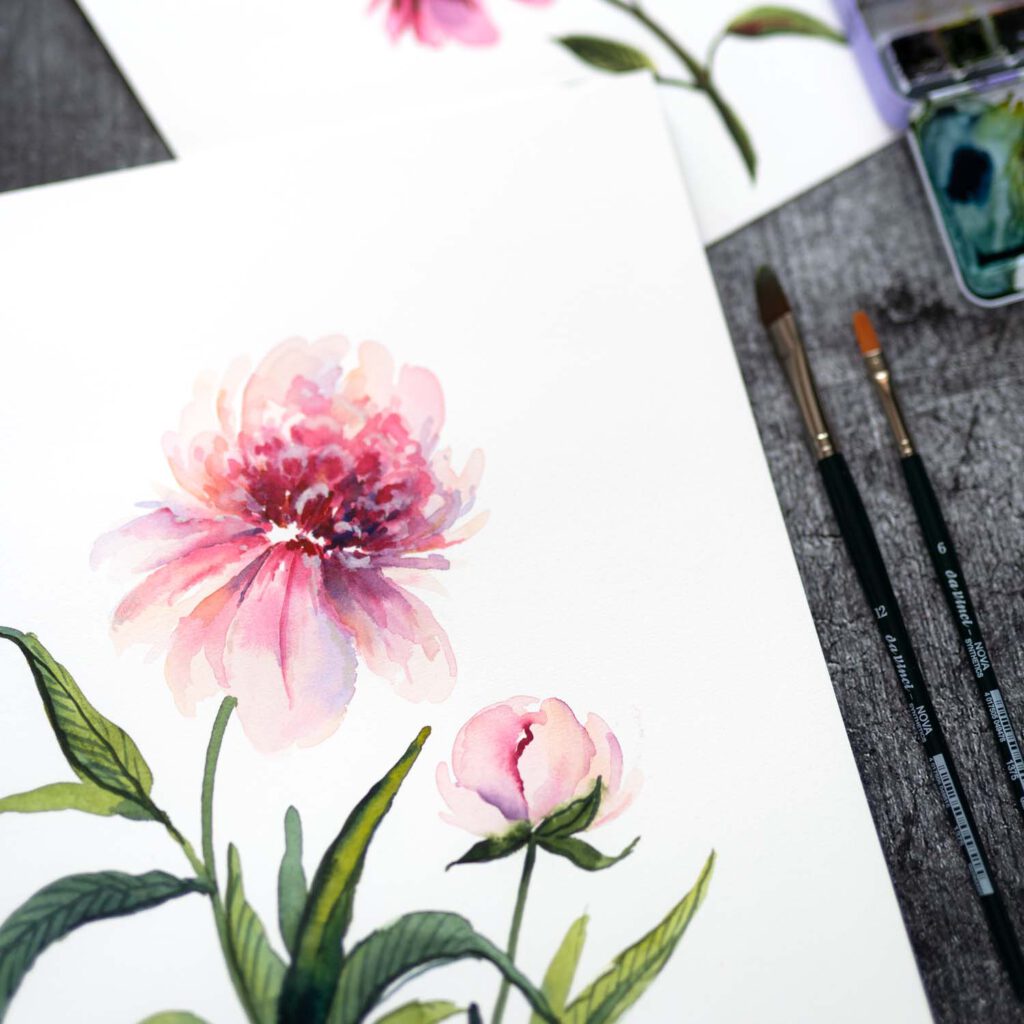 Livestream Pfingstrose Loose Watercolor