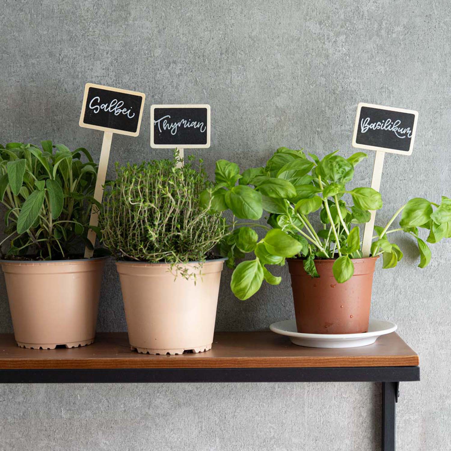 Kreativabend_Handlettering_Gartenkräuter