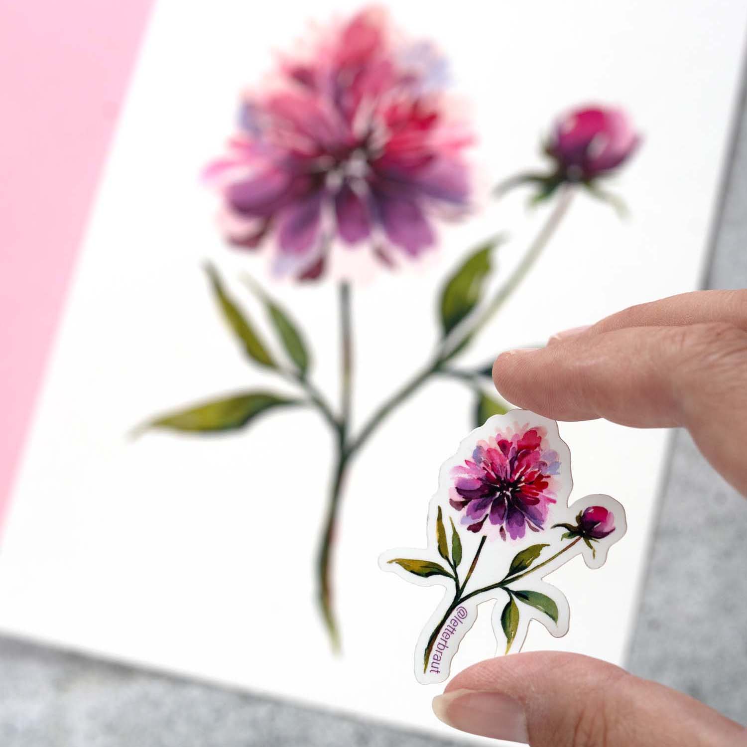 Watercolor Pfingstrosen Workshop