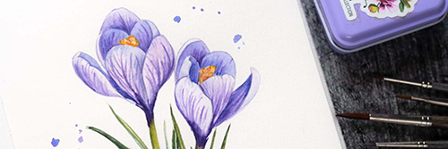 Letterbraut Watercolor Links Gratis Vorlage Krokus Aquarell