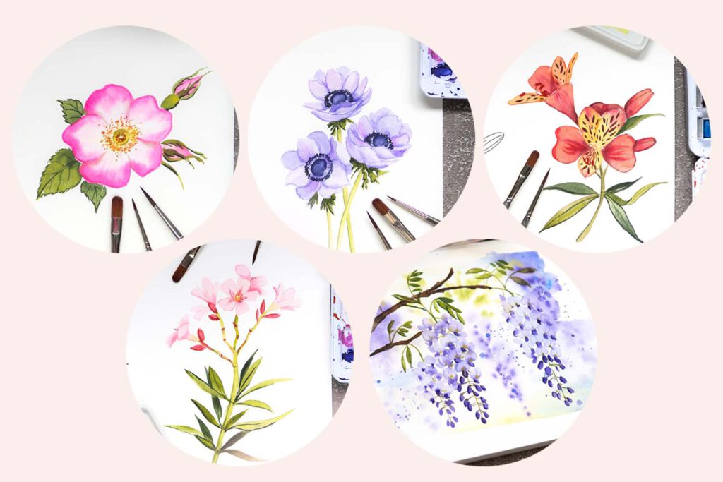 Florals Aquarell Blüten Malen Blütenformel 5 Blütenprojekte