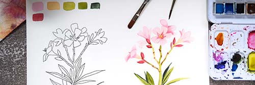 Oleander Florals Aquarell Blüten Malen Videokurs